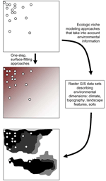 Thumbnail of Hypothetical example of a species’ known occurrences (circles) and inferences from that information. The middle panel shows the pattern that would result from a surface-fitting or smoothing algorithm, and the bottom panel shows the ability of ecologic niche modeling approaches to detect unknown patterns in biologic phenomena based on the relationship between known occurrences and spatial patterns in environmental parameters. GIS, geographic information system.