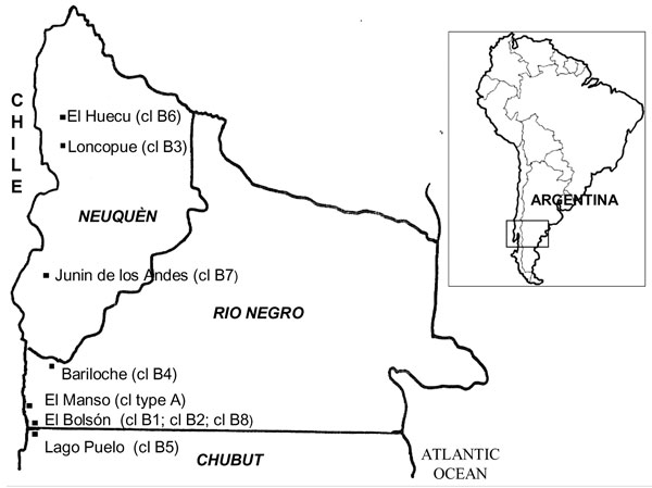 Figure 1&nbsp;-&nbsp;Geographic origin of clusters (cl) of Andes virus cases, southern Argentina.