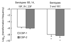 Thumbnail of Competence (transformation frequency) induced by competence-stimulating peptide 1 (CSP-1) and CSP-2 between isolates belonging to serotypes 6B, 14, 19F, 9V, and 23F, and isolates belonging to serotypes 3 and 18C (*, p&lt;0.05).