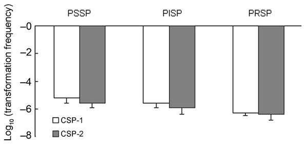 Competence (transformation frequency) induced by competence-stimulating peptide 1 (CSP-1) and CSP-2 among 3 groups: PSSP, PISP, and PRSP. PSSP, penicillin-susceptible Streptococcus pneumoniae; PISP, penicillin-intermediate S. pneumoniae; PRSP, penicillin-resistant S. pneumoniae.
