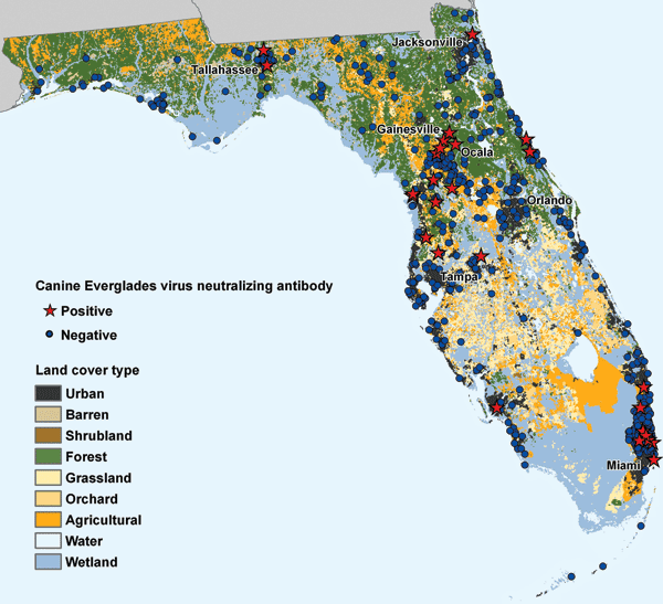 Residence locations of Everglades virus–seropositive and –seronegative dogs in Florida and landcover habitat types obtained from the National Land Cover Database.