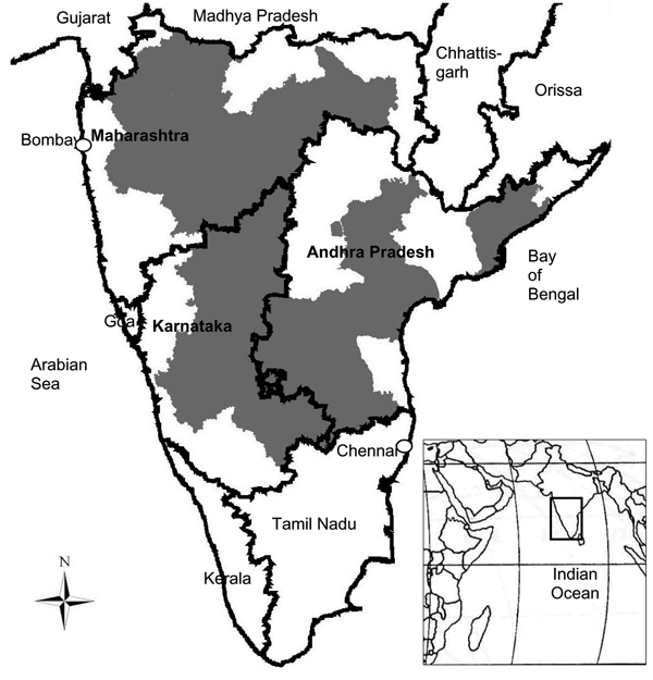 Southern India, 3 states affected by chikungunya virus (October 2005–March 2006). Gray shading indicates area affected in each state.