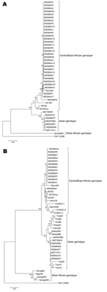 Thumbnail of Phylogenic analyses of partial NS4 (456 nt, panel A) and E1 (294 nt, panel B). Refer to Table 1 for the details of the isolates sequenced during this study. Percentage bootstrap support is indicated by the values at each node. The following sequences were obtained from GenBank database: E1, ROSS (AF490259); S27Africa (NC-004162); Tanz53 (AF192905); Africa76 (AF192903); CONGO1 (AY549583); CONGO2 (AY549581); CONGO3 (AY549579); Uganda82 (AF192907); Thai95 (AF192897); Thai96 (AF192900);