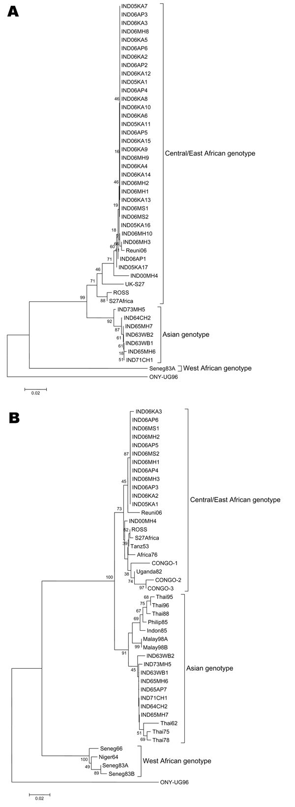 Phylogenic analyses of partial NS4 (456 nt, panel A) and E1 (294 nt, panel B). Refer to Table 1 for the details of the isolates sequenced during this study. Percentage bootstrap support is indicated by the values at each node. The following sequences were obtained from GenBank database: E1, ROSS (AF490259); S27Africa (NC-004162); Tanz53 (AF192905); Africa76 (AF192903); CONGO1 (AY549583); CONGO2 (AY549581); CONGO3 (AY549579); Uganda82 (AF192907); Thai95 (AF192897); Thai96 (AF192900); Thai88 (AF19