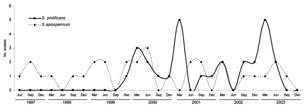 Epidemiologic curve of isolation of Scedosporium spp. isolation, Australia, June 1997–December 2003. S. prolificans was first identified in December 1999 and had 2 peaks that coincided with construction work. S. apiospermum was isolated at a constant rate of 1–2 times per 3-month period.
