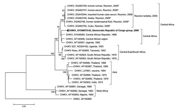 Phylogenetic tree of chikungunya virus (CHIKV) based on partial nucleotide sequences (3´ extremity of E1/3´ untranslated, position 10238–11367). Phylogram was constructed with MEGA 2 (http://megasoftware.net/mega2.html), and the tree was drawn with the Jukes-Cantor algorithm for genetic distance determination and the neighbor-joining method. The percentage of successful bootstrap replicates (1,000 bootstrap replications, confidence probability &gt;90%) is indicated at nodes. The length of branch