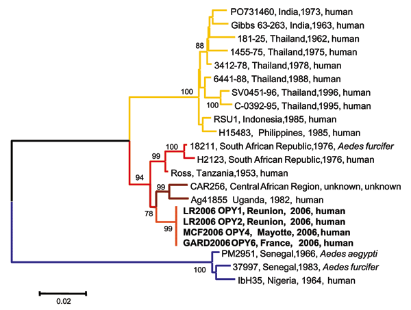 Phylogenetic analysis of chikungunya virus (CHIKV) isolates based on a 1,044-nucleotide (nt) fragment between nt 10243 and 11286 (numbered after strain Ross [accession no. AF490259]) in the E1 gene. Distances and groupings between the 3 Indian Ocean isolates and 18 isolates previously characterized (23) were determined by the Jukes-Cantor algorithm and neighbor-joining method with the MEGA software program (25). Bootstrap values &gt;75% are indicated and correspond to 500 replications. The main 