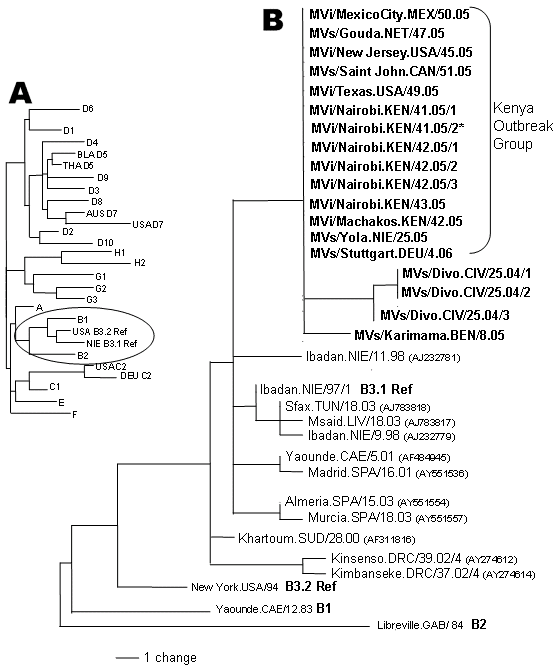 A) Dendrogram showing the relationships among the measles reference strains representing the 23 known measles genotypes (B3 has 2 reference strains). Clade B (circled) is expanded in panel B. B) Midpoint-rooted maximum parsimony tree of nucleoprotein genes (450 nt) of measles viruses from patients in the United States, Mexico, the Netherlands, Canada, and Kenya during 2005 and 2006. The unrooted tree includes sequences from Nigeria in 2005, Germany in 2006, Côte d'Ivoire in 2004, and Benin in 20