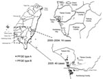 Thumbnail of Geographic distribution of 14 sporadic cases of melioidosis, 2000–2004, and 40 clustered cases, 2005, Taiwan. Two pulsed-field gel electrophoresis (PFGE) genotypes (types A and B) of Burkholderia pseudomallei were present in southern Taiwan. The numbers in the upper right panel indicate year of isolation.