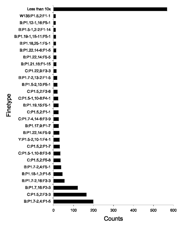 Distribution of 383 finetypes included in the present study (1,616 patients). The most common finetype (B:P1.7–2,4:F.1–5) accounted for 12.3% of the cases.