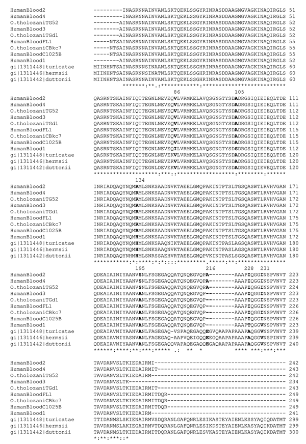 CLUSTAL W multiple alignment of 9 Israeli tickborne relapsing fever sequences (bold letters indicate variable amino acid positions as shown in Table 2). The GenBank accession numbers for nucleotide sequences of Borrelia persica flaB shown here are as follows: HumanBloodFL1 (DQ673617), HumanBloodC1015B (DQ679904), OtholozaniCBkc7 (DQ679905), HumanBlood1 (DQ679906), HumanBlood2 (DQ679907), HumanBlood3 (DQ679908), HumanBlood4 (DQ679909), OtholozaniTG52 (DQ679910) and OtholozaniTGd1 (DQ679911).