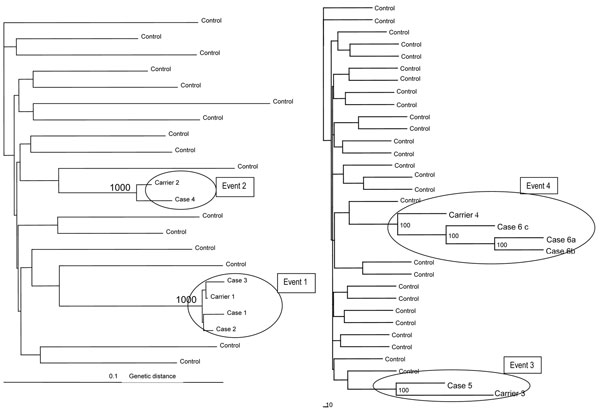 Phylogenetic tree of the partial glycoprotein E2 sequences of hepatitis C virus from patients investigated in 2 public hospitals and 1 private diagnostic center and control samples retrieved from Hospital Clinic and Hospital Vall d’Hebron in Barcelona, Spain. GenBank accession nos.: DQ682391, DQ682392, DQ682393, DQ682394, DQ682376, DQ682377, EU380670, EU380671, EU380672, EU380673, EU380674, EU380675. Branch lengths are drawn to scale. Only bootstrap values &gt;70% are shown.