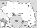Thumbnail of Map of Guinea showing the location of the 18 trapping sites (small circles). Sites where only Mastomys erythroleucus or M. natalensis were trapped are shaded in gray and black, respectively. Sites where both species were captured are hatched, and sites where no Mastomys were caught are marked with a dash. The human Lassa virus seroprevalence in these areas is indicated by the size of the sectors of the larger circles shaded black (11), gray (12), or hatched (13). The asterisk denote