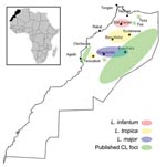 Thumbnail of Molecular epidemiology of cutaneous leishmaniasis in Morocco. L., Leishmania.