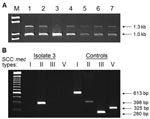 Thumbnail of A) PCR with specific primers for class B mec complex (1.3 kb) and type 2 ccr complex (1.0 kb) identifies isolates containing Staphylococcus cassette chromosome (SCC) mec type IV: lanes 1, 2, and 4–7. B) When control strains are used, PCR identifies SCCmec type II in isolate 3.