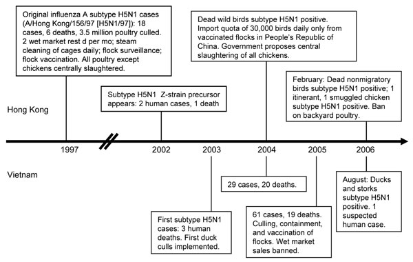 Chronology of influenza A (H5N1) outbreaks and responses, Hong Kong and Vietnam. Double slashes represent a break in the timeline.