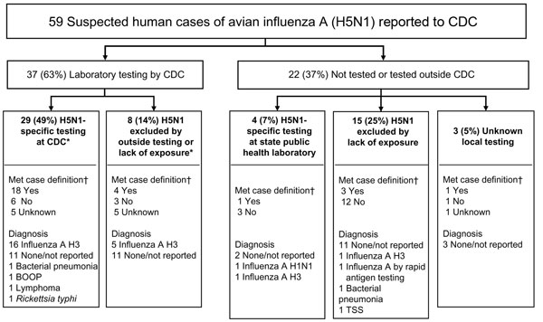 Influenza testing of suspected US cases of avian influenza A H5N1 reported to the Centers for Disease Control and Prevention (CDC) from February 2003 through May 2006. *Of the 37 samples tested by CDC, 35 were respiratory samples, 1 was serum, and 1 was a lung specimen. All 35 respiratory samples received by CDC were tested for human influenza by reverse transcription–PCR, and the serum sample was tested by microneutralization assay. †CDC suspected H5N1 case definition, February 2, 2004–June 7,
