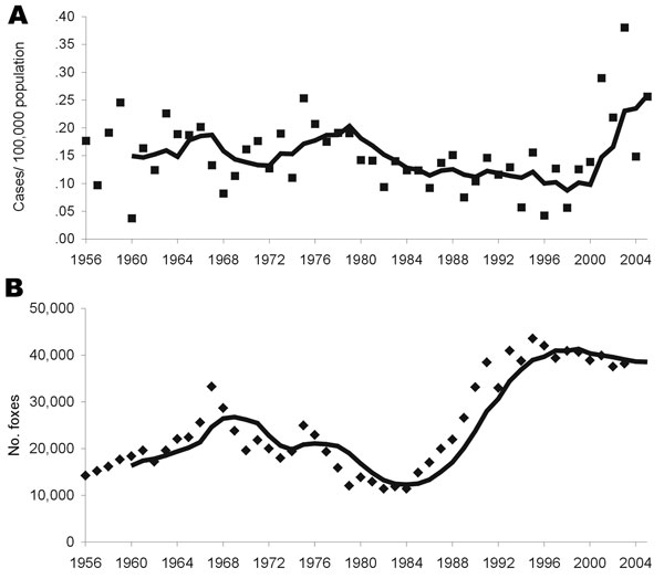 Actual data points with moving 5-year average for annual incidence of human alveolar echinococcosis in Switzerland (A) and annual number of foxes hunted per year in Switzerland (B), used as a fox population density marker.