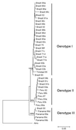 Thumbnail of Comparative small (S) RNA phylogenetic tree constructed by using the neighbor-joining method for Oropouche virus strains isolated in Parauapebas and Porto de Moz, Pará State, Brazil. Bootstrap values were placed over the 3 nodes for each main group (I, II, and III). Aino virus S RNA sequence was used as an outgroup. Scale bar indicates a divergence of 5% in the nucleotide sequence.