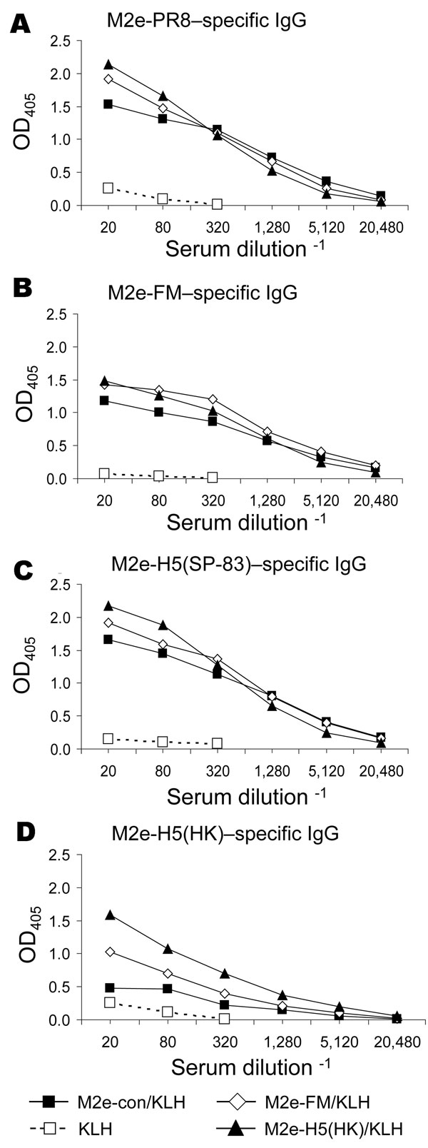Results of matrix protein 2 (M2)e–keyhole limpet hemocyanin (KLH) vaccination, showing induction of cross-reactive antibody responses. Mice (7–9 per group) were immunized intraperitoneally with KLH or M2e peptides conjugated to KLH (M2e-con/KLH, M2e-FM/KLH, or M2e-H5(HK)/KLH) in complete Freund’s adjuvant. After 21 days, the mice were given an intraperitoneal booster with KLH or M2e-peptide/KLH in incomplete Freund’s adjuvant. Immune serum was collected 13 days after booster and assayed for immu