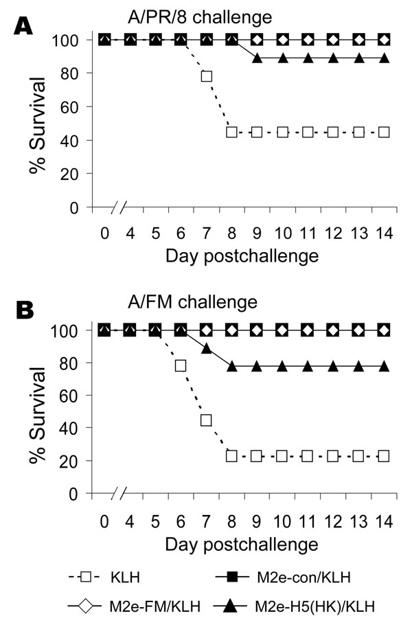 Results of matrix protein 2 (M2)e–keyhole limpet hemocyanin (KLH) vaccination, showing cross-protection. Mice (7–9 per group) were vaccinated as in Figure 1. Six weeks after the booster, they were anesthetized with isoflurane and challenged with 10x the 50% lethal dose (LD50). Of A/PR/8 (A) or A/FM (B) viruses and then monitored for survival. Cumulative survival rates after challenge with A/PR/8 or A/FM virus differed significantly from those of KLH controls for all M2e-conjugates (p = 0.001 and