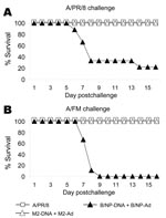 Thumbnail of Results of vaccination and booster with DNA prime–adenovirus (Ad), showing cross-protection. Mice (8–10 per group) were immunized as in Figure 4 or intranasally given a sublethal priming infection with A/PR/8. Three weeks later they were challenged with a high dose of A/PR/8 (1.5x 104 50% lethal dose [LD50]) or moderate dose of A/FM (10 LD50) and monitored for survival. The cumulative survival rate for mice immunized with A/PR/8 and M2-DNA+M2-Ad was significantly higher than that fo