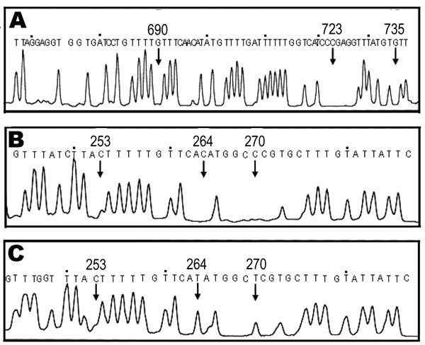 Molecular identification of formalin-fixed and acetocarmine-stained samples by base excision sequence scanning thymine-base (BESS) T-base analysis. BESS T-base profiles are shown in panels A, B, and C. A) Thymine-base profile using the 112-bp cox1 products from patient samples 3–6. B) and C) BESS T-base analysis data that used 136-bp cob products from scolices with and without hooklets, respectively. Arrows indicate diagnostic positions. Nucleotide sequences indicated above the peaks are from GenBank databases (AB066485 for cox1, AB066570 and AB066580 for cob).