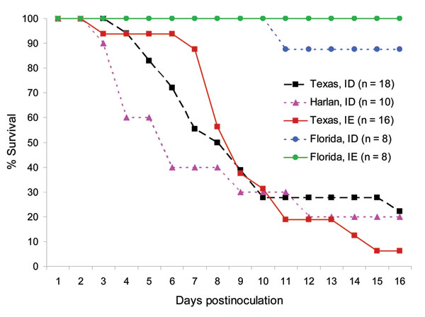 Survival of cotton rats from Florida, Texas, and Harlan after subcutaneous inoculation with 3 log10 PFU of enzootic Venezuelan equine encephalitis virus (subtypes IE and ID).