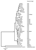 Thumbnail of Phylogenetic relationship among Hungarian and other G12 rotaviruses. The tree was generated by the neighbor-joining algorithm by using a 501-nt fragment of VP7 (nt 79–579). Scale bar represents the nucleotide distance. Bootstrap values &gt;60% are shown in the branch nodes. The country of origin is shown parallel to the strain names. ARG strain is an unnamed G12 isolate from Argentina.