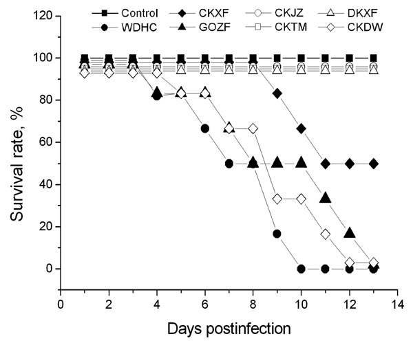 Survival times of mice infected with the 7 avian influenza virus (H5N1) isolates. Mice were intranasally inoculated with 106 50% egg infectious dose of viruses in a volume of 50 μL. A/widgeon/Hubei/EWHC/2004 (EWHC), A/chicken/Hubei/327/2004 (CKDW), and A/goose/Hubei/ZFE/2004 (GOZF) induced a 100% death rate within 4–13 days, A/chicken/Hubei/XFJ/2004 (CKXF) induced a 50% death rate, and A/duck/Hubei/XFY/2004 (DKXF), A/chicken/Hubei/TMJ/2004 (CKTM), and A/chicken/Hubei/JZJ/2004 (CKJZ) caused no clinical signs or death.