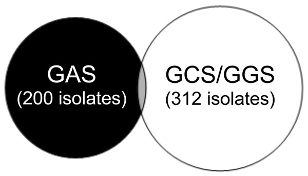 Venn diagram of positive throat swabs, Northern Territory, Australia, showing that group A streptococci (GAS) and Streptococcus dysgalactiae subsp. equisimilis (GCS/GGS) appear almost mutually exclusive. Thirteen persons had GAS and GCS or GGS, and 1 child had GAS, GCS, and GGS.
