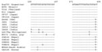 Thumbnail of Comparison of the primer binding regions of the VP7 genes of G12 rotavirus strains detected in various geographic locations. Primers were designed based on the Arg720 sequence. The sequence of the forward primer is as shown in the figure; the sequence of the reverse primer is complementary to that shown in the figure.