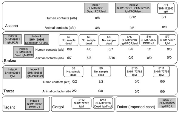 Investigation of human and animal contact around index and suspected case-patients (S) from Mauritania in 2003. For each case-patient (represented as a box), PCR, immunoglobulin M (IgM), or isolation (Isol)-positive test results are indicated below the sample number (e.g., 169867).(a/b), no. IgM positive/no. tested; S*, suspected case-patient before field investigation and subsequently confirmed positive by laboratory tests.