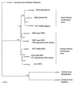 Thumbnail of Phylogenetic inference relationships of the open reading frames encoding the hemagglutinin protein of selected strains of vaccinia, variola, cowpox, and monkeypox viruses and monkeypox virus isolates described in this study. Sequences used were cowpox virus Brighton (AF375089), variola virus Bangladesh (AF375129), vaccinia virus Lister (AY678276), monkeypox virus mpv 1997 (AF375096), mvp-squir (AF375112), mpv Zaire 77-0666 (Z99052), mpv-cncr (AF375102), mpv 74-226 (AF375099), mpv-082 (AF375095), mpv-utc (AF375113), and mpv-3945 (AF375098). ClustalW, version 1.83 (10), was used to generate amino acid multiple sequence alignments (pairwise gap opening = 35 and gap extension = 0.75; multiple alignment gap opening = 15 and gap extension = 0.30; Gonnet series). Each alignment was processed using RevTrans (11). Bayesian posterior probability inference of phylogeny used MrBayes, version 3.084. MrBayes settings for the best-fit model (GTR+I+G) were selected by hierarchies for the likelihood ratio test in MrModeltest 2.0 (12). Bayesian analysis was performed with MrBayes; the maximum likelihood model used 6 substitution types (nst = 6). Rate variation across sites was modeled by using a gamma distribution, with a proportion of sites being invariant (rates = invgamma). The Markov chain Monte Carlo search was run for 1 million generations; trees were sampled every 100 generations (the first 4,000 trees were discarded as burn-in). NL, the Netherlands; DRC, Democratic Republic of Congo.