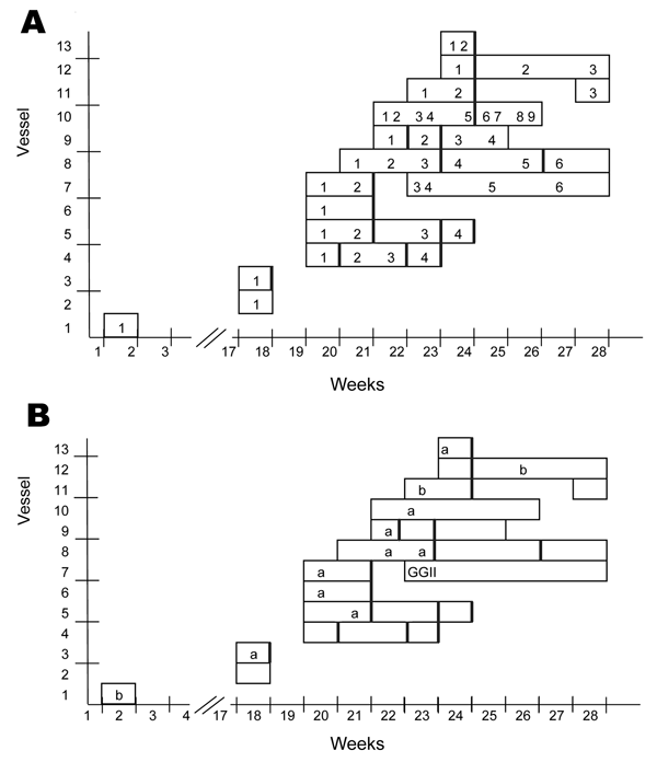 Number of outbreaks (A) and causative genotypes (B) for cruise-related outbreaks of norovirus for each ship from January through July 2006. Data were derived from multiple sources, active case finding, and case reports. Vertical black lines indicated markers for reported cleaning activities with extra intensity. a, GGII.4–2006a; b, GGII.4–2006b; GGII, GGII but variant unknown.