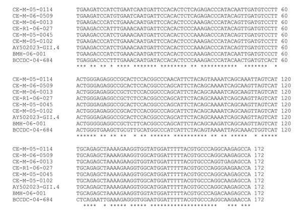 Nucleotide alignment of the 172-bp amplified region from the human GII.4-like strains. Four were detected in swine manure (CE-M-05–0114, CE-M-06–0013, CE-M-05–0045, and CE-M-05–0102), 1 in bovine manure (CE-M-06–0509), and 1 in a retail meat sample (CE-R1–06–027). The reference sequences provided are from the Farmington Hills reference strain (GenBank accession no. AY502023) and our laboratory strains, BMH-06–001 and BCCDC-04–684. Asterisks indicate identity at this position among all strains.