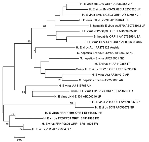 Phylogenetic tree (neighbor-joining method) of hepatitis E virus (HEV) genotype 3 isolates for a 210-nt sequence within the open reading frame (ORF) 1 gene (corresponding to nt 167–376 of the prototype swine genotype 3 pSHEV-3 AY575859). Patient (EF514587) and pet pig (EF514588) sequences are in boldface and were compared with French isolates or known isolates from regions where HEV is not endemic. GenBank accession no. and country of origin are indicated. Reliability of the different phylogenetic groupings was evaluated by using a bootstrap test (1,000 replications); scores &gt;70% are indicated. Scale bar indicates no. of nucleotide substitutions per site. JP, Japan; USA, United States; NL, the Netherlands; NZ, New Zealand; IT, Italy; FR, France; AR, Argentina; UK, United Kingdom; SP, Spain.