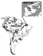 Thumbnail of Human cases of acute human Trypanosoma cruzi infections in the Amazon Basin (19-28). French Guiana, 15; Colombia, 100; Ecuador, 14; Peru, 85; and Brazilian States: Amapá, 27; Acre, 7; Amazonas, 33; Pará, 57; and Maranhão, 50 cases. Insert shows Paço do Lumiar county in the island São Luis, State of Maranhão, an ecoregion vulnerable to human predation, where acute T. cruzi infections have been identified.