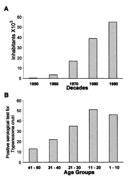 Human population growth and acute T. cruzi infections in the Amazonian county Paço do Lumiar (19-28). In A, population density increased approximately fourfold in the last three decades. In B, autoctonous acute T. cruzi infections increased fourfold in the same timespan (comparing percentages of seropositivity in 41- to 50-year-olds vs. 11- to 20-year-olds), affecting younger age groups.