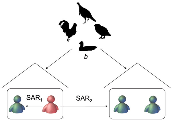 Schematic of estimation method. An infectious person (in red) infects a susceptible person (in green) in the same household with probability of household secondary attack rate (SAR1) and infects a susceptible person in a different household with probability SAR2. The common infectious source (i.e., avian hosts) infects a susceptible person with probability b per day. The likelihood function is constructed from symptom-onset dates and exposure information to estimate the above parameters