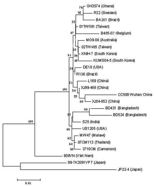 Phylogenetic analysis of the nucleotide sequences of the vp7 gene of G9 strain isolated in Wuhan and G9 strains from different parts of the world. The bar indicates the variation scale. A phylogenetic tree was generated based on the neighbor-joining method using MEGA version 3.1 (www.megasoftware.net). GenBank accession numbers of the vp7 gene sequences of group A rotavirus are the following: AY211068,AY196119,AY695811,DQ490173,AY307085,DQ096291,DQ990317,DQ056296, AY487877, AJ491163, AF438228, DQ321497, DQ321495, AJ250542, AJ250543, AJ491188, AF060487, AJ250544, AY866505, AY816184, AB091777, AB091756, AB176682, L79916, and EF197983.
