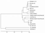 Thumbnail of Phylogenetic tree, based on complete polyprotein sequences of tickborne encephalitis virus (TBEV). Original names of TBEV are presented. The multiple sequence alignments were obtained with ClustalX, and the tree was constructed by the neighbor-joining method. The following sequences were used for the phylogenetic tree: DQ862460 (TBEV, Glubinnoe/2004) ABJ74160 (TBEV, 205); AAN73266 (TBEV, Senzhang); BAB71943 (TBEV, Oshima 5–10); BAB72162 (TBEV, Sofjin-HO); AF069066 (TBEV, Vasilchenko); AAO43537 (TBEV, Zausaev); NP_043135 (TBEV, Neudoerfl); AAA86739 (TBEV, 263); Q01299 (TBEV, Hypr); ABB90676 (Spanish sheep encephalitis virus); BB90675 (Turkish sheep encephalitis virus); NP_044677 (Louping ill virus);NC_001672 (TBEV); AY217093 (TBEV, MDJ-01); AY968065 (yellow fever virus, Uganda); DQ675533 (dengue 3).