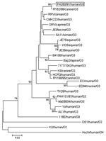 Thumbnail of Phylogenetic analysis of deduced amino acid sequence derived from VP7 gene of the PA260/97 human rotavirus strain and other G3 rotavirus genotypes. The tree was generated by the neighbor-joining method using the ClustalW program (http://dambe.bio.uottawa.ca/dambe.asp). Scale bar indicates nucleotide substitutions (×100).
