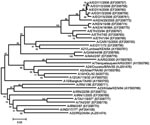 Thumbnail of Midpoint-rooted neighbor-joining tree showing the relationships between the A Egypt 2006 virus isolates and other contemporary and reference viruses. Numbers indicate the percentage occurrence of the branches by the bootstrap resampling method. *Reference number not assigned by the World Reference Laboratory for Foot-and-Mouth Disease.