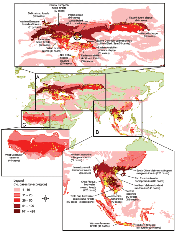 Twenty-five ecoregions with large numbers of avian influenza cases (November 2003-November 2006). A) Eurasia; B) Southeast Asia; C) Africa. Yellow regions are composed of aggregated dots representing individual cases.