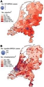 Thumbnail of A) Number of nontypable methicillin-resistant Staphylococcus aureus (NT-MRSA) isolates per municipality received at the National Institute for Public Health and the Environment (RIVM), Bilthoven, the Netherlands, January 2003–June 2005. The background color represents the density of pigs per km2 in 2003. B) Number of typable MRSA per municipality received at the RIVM January 2003–June 2005. The background color represents the population density per km2 (source: CBS Statline).