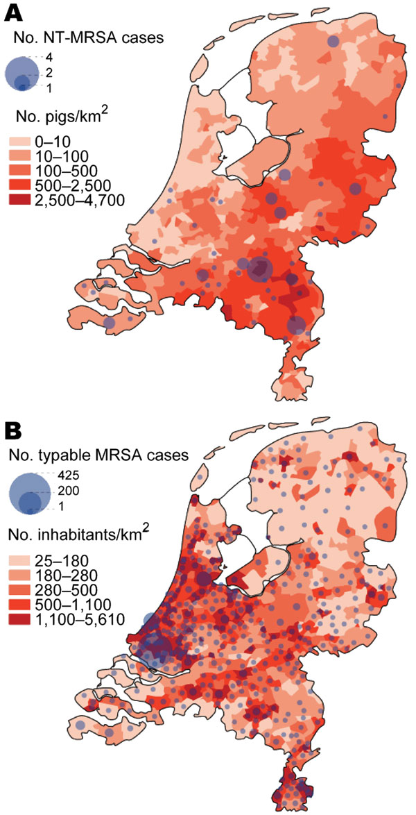 A) Number of nontypable methicillin-resistant Staphylococcus aureus (NT-MRSA) isolates per municipality received at the National Institute for Public Health and the Environment (RIVM), Bilthoven, the Netherlands, January 2003–June 2005. The background color represents the density of pigs per km2 in 2003. B) Number of typable MRSA per municipality received at the RIVM January 2003–June 2005. The background color represents the population density per km2 (source: CBS Statline).
