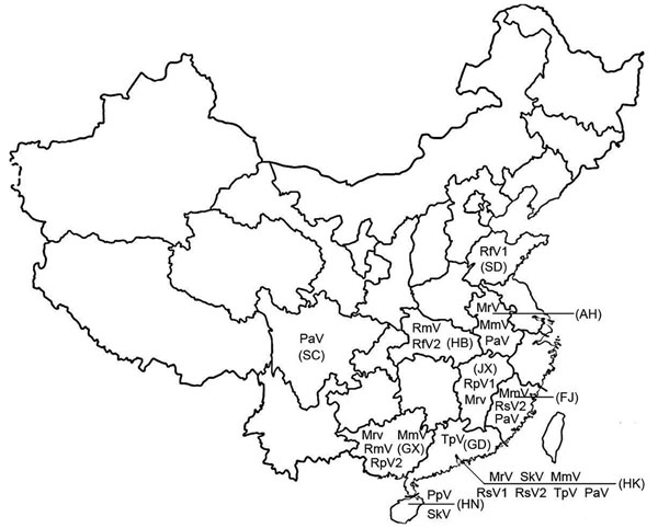 Distribution of coronaviruses isolated in the People’s Republic of China. RsV, detected in Rhinolophus sinicus; PaV, detected in Pipistrellus abramus; TpV, detected in Tylonycteris pachypus; RfV, detected in R. ferrumequinum; RmV, detected in R. macrotis; PpV, detected in P. pipistrellus; SkV, detected in Scotophilus kuhlii; MrV, detected in Myotis ricketti; RpV, detected in R. pearsoni; MmV, detected in Miniopterus magnater; MpV, detected in M. pusillus. Abbreviations for provinces are shown in parentheses. SC, Sichuan Province; AH, Anhui Province; FJ, Fujian Province; HN, Hainan Province; GD, Guangdong Province; HB, Hubei Province; GX, Guangxi Province; SD, Shandong Province; JX, Jiangxi Province; HK, Hong Kong Special Administrative Region, People’s Republic of China.
