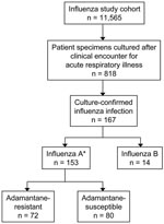 Thumbnail of Results of patient recruitment and influenza cultures. *One isolate was not characterized.