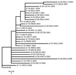 Thumbnail of Phylogenetic analyses based on maximum parsimony comparing the 2,685-bp nucleotide sequence, including the complete structural and the 5′-untranslated region of prototype West Nile virus (WNV) strain WN-NY99 with 30 WNV isolates collected during the 2002–2005 epidemics in the United States. Values in parentheses show percentage of nucleotide sequence divergence from WN-NY99. Scale bar represents a 1-nt change.